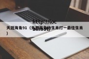 天涯海角91（天涯海角的生肖打一最佳生肖）
